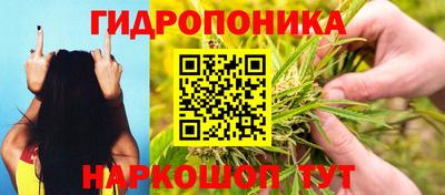 PSILOCYBIN Татарск