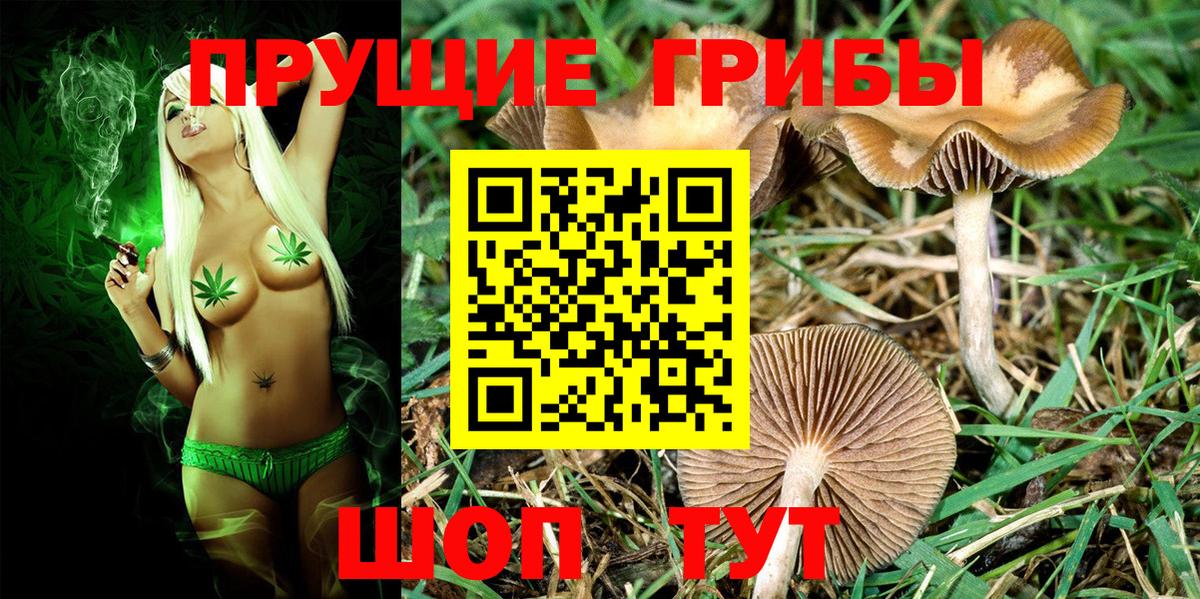Псилоцибиновые грибы ЛСД  Галлюциногенные грибы мицелий  Вход с VPN  Нальчик 