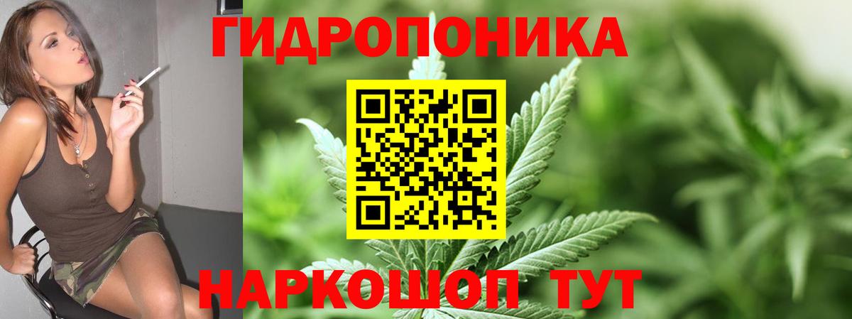 МАРИХУАНА гибрид  Каннабис Bruce Banner  Канабис план  Нальчик  Бошки Шишки марихуана  Вход с VPN 